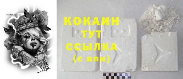 стаф Белокуриха