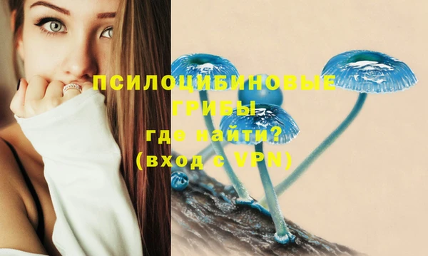 наркотики Богородск