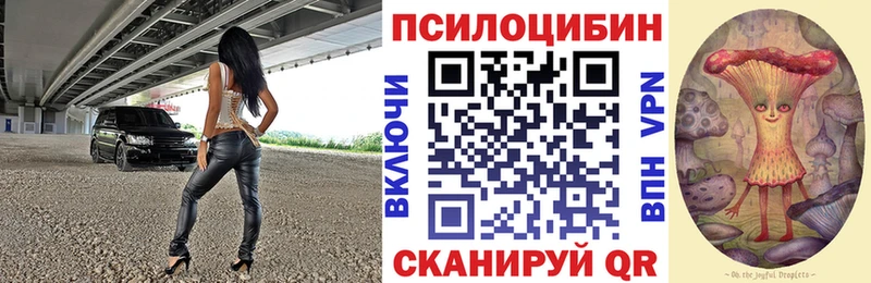 Псилоцибиновые грибы Psilocybe  где купить наркоту  Называевск 
