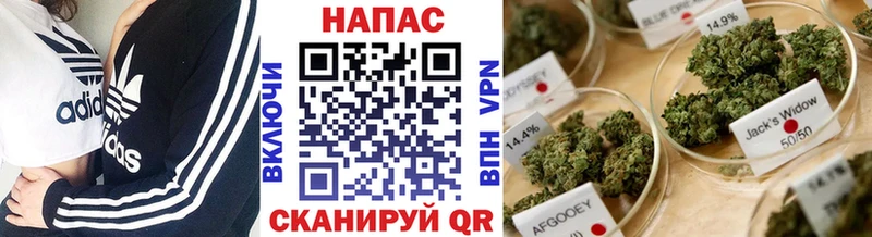 мориарти клад  Называевск  mega как войти  Марихуана сатива  закладки 